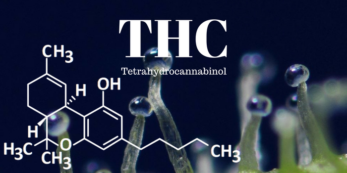 THC (Tetrahydrocannabinol)