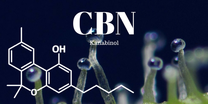 Kanabinoid CBN