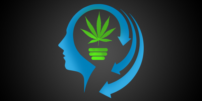 Marihuana a naše paměť