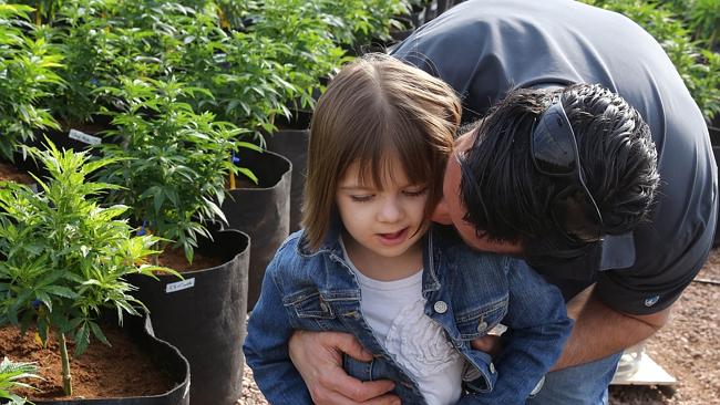 Charlotte Figi a otec Matt Figi ve skleníku mezi odrůdami Charlotte’s Web, zdroj: news.com.au