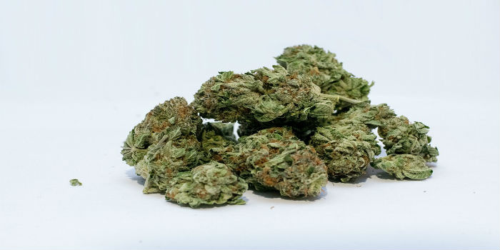 Marihuana pro léčebné účely je opět k dostání v českých lékárnách